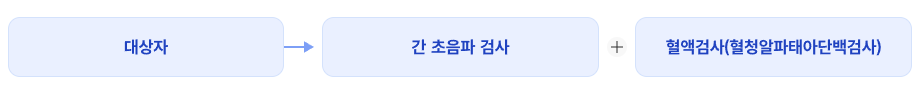 간암 검진.png